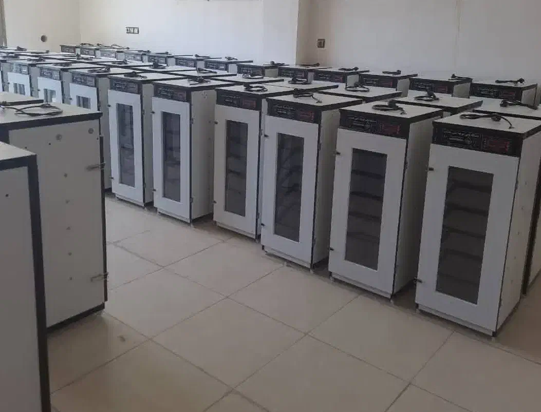 دستگاه جوجه کشی-/دارای شانه همه کاره/|لوازم جانبی حیوانات|رباطکریم, رباطکریم|دیوار