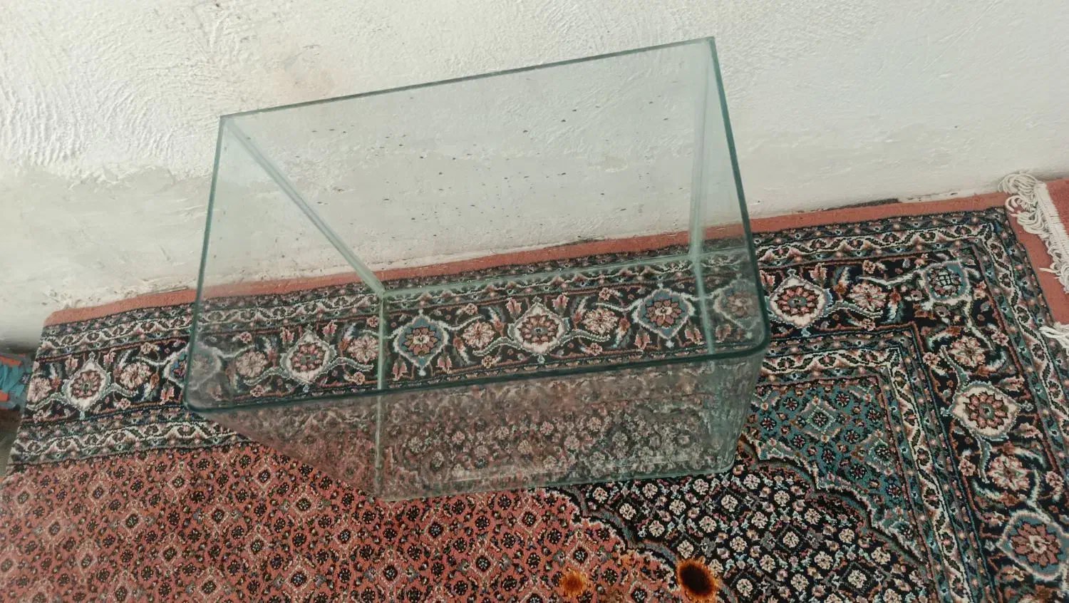 اکواریوم شیشه خم|ماهی|اردبیل, |دیوار