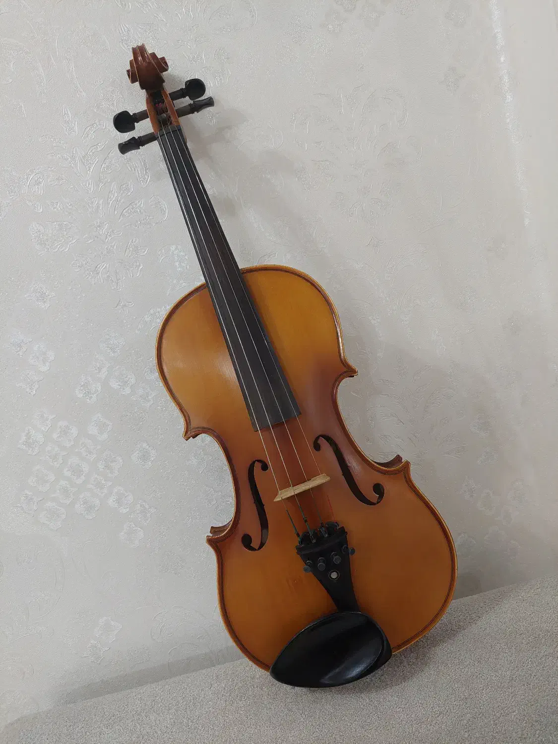 ویولن TF142|ویولن|اندیمشک, |دیوار
