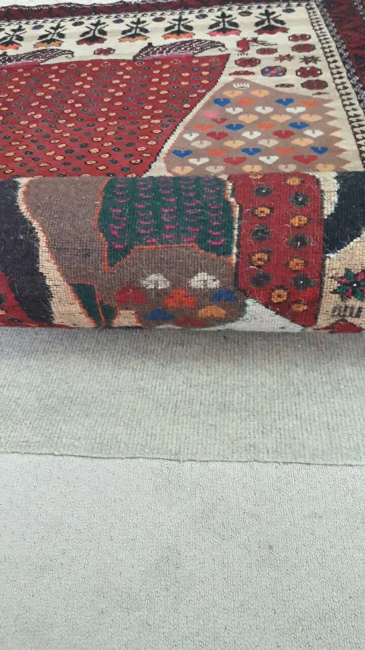 قالی دستبافت اعلا|فرش|تربت‌حیدریه, میدان مرکزی|دیوار