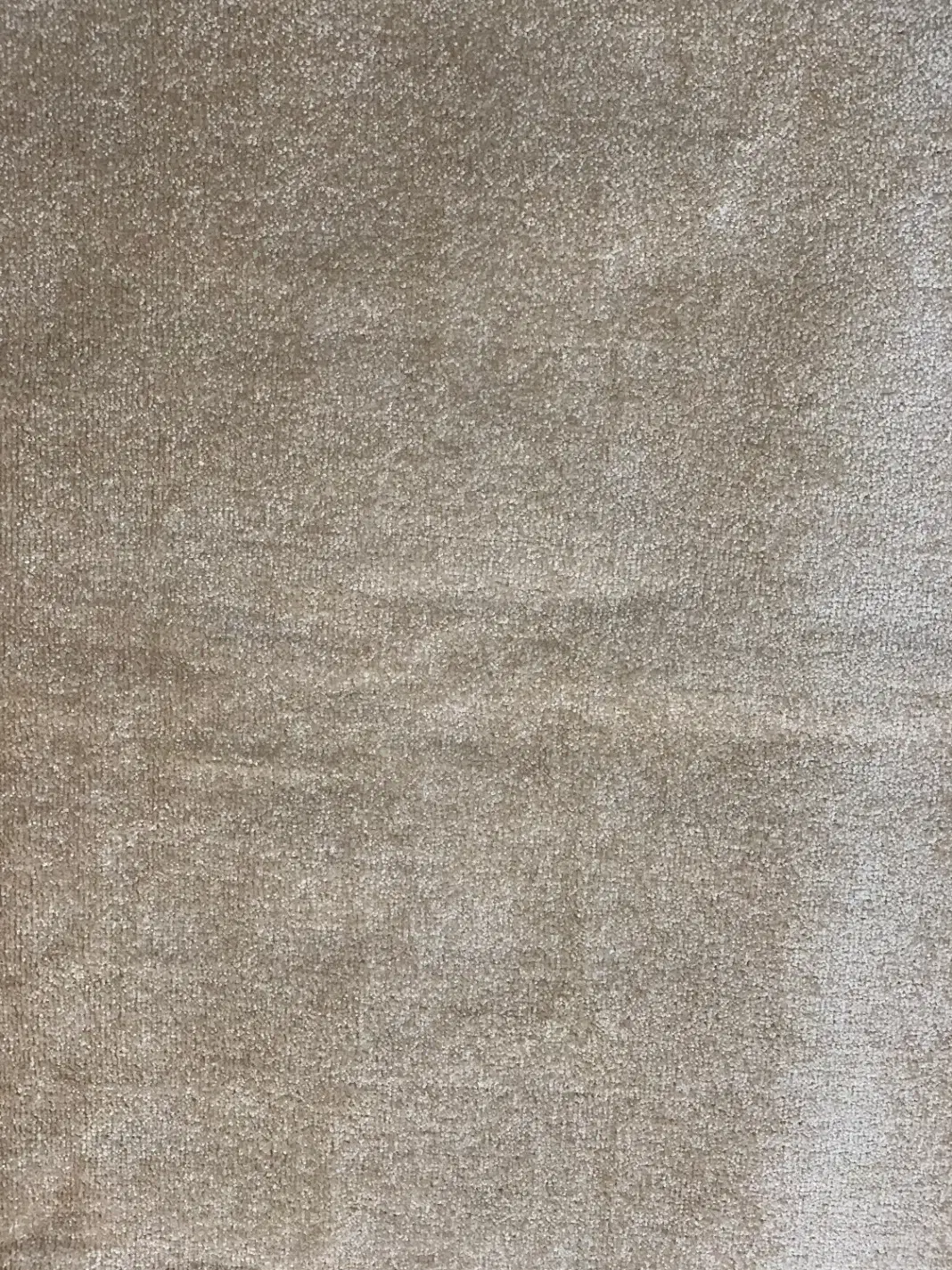 پالاز موکت|موکت|بندرعباس, |دیوار