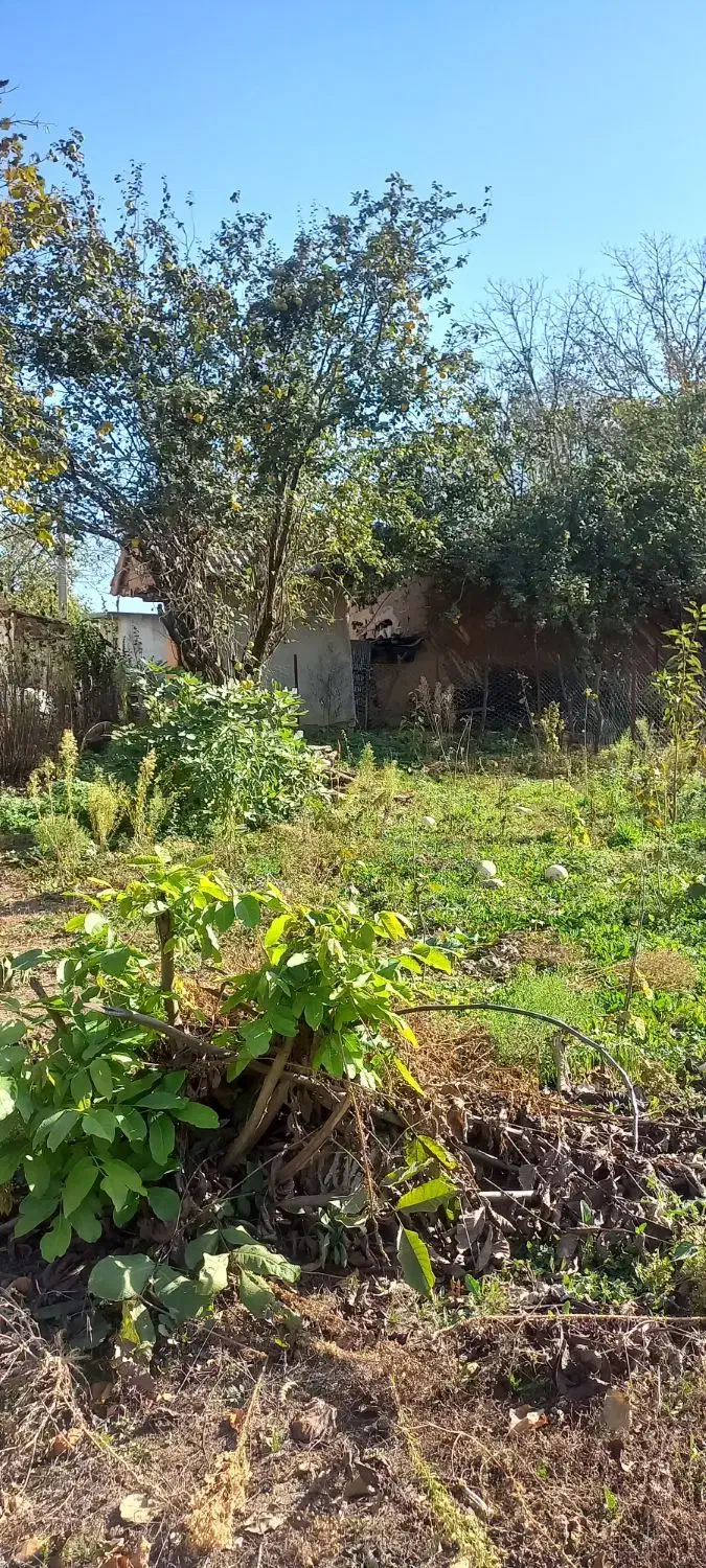 ۲۰۰متر زمین واقع در روستای چهارمحل|فروش زمین و ملک کلنگی|برهسر, |دیوار