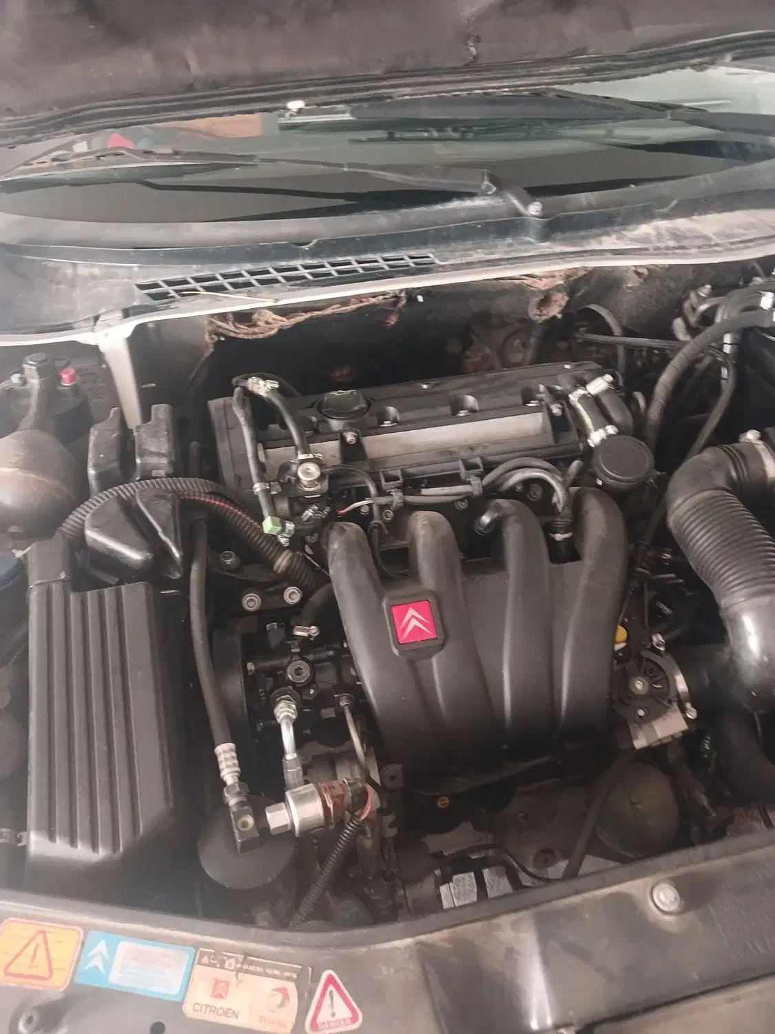 زنتیا|خودرو سواری و وانت|تهران, شهرآرا|دیوار