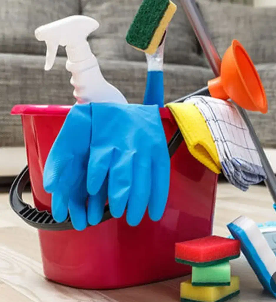 نیروی کارخانم|استخدام سرایداری و نظافت|دوگنبدان, |دیوار