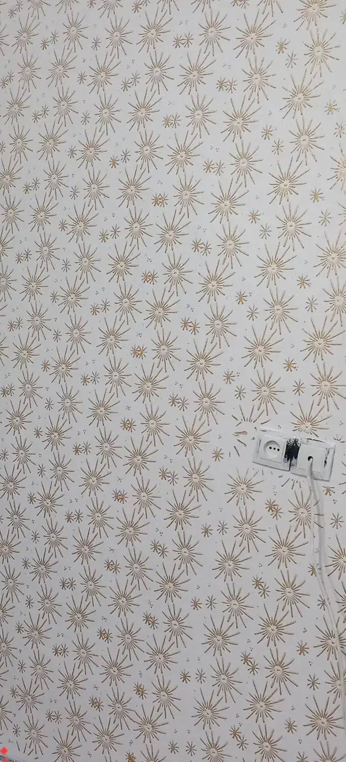 نقاشی‌سا اردبیل‌گرمی‌پارس‌آبادرنگ‌کاری‌سفید‌کاری|خدمات پیشه و مهارت|گرمی, |دیوار