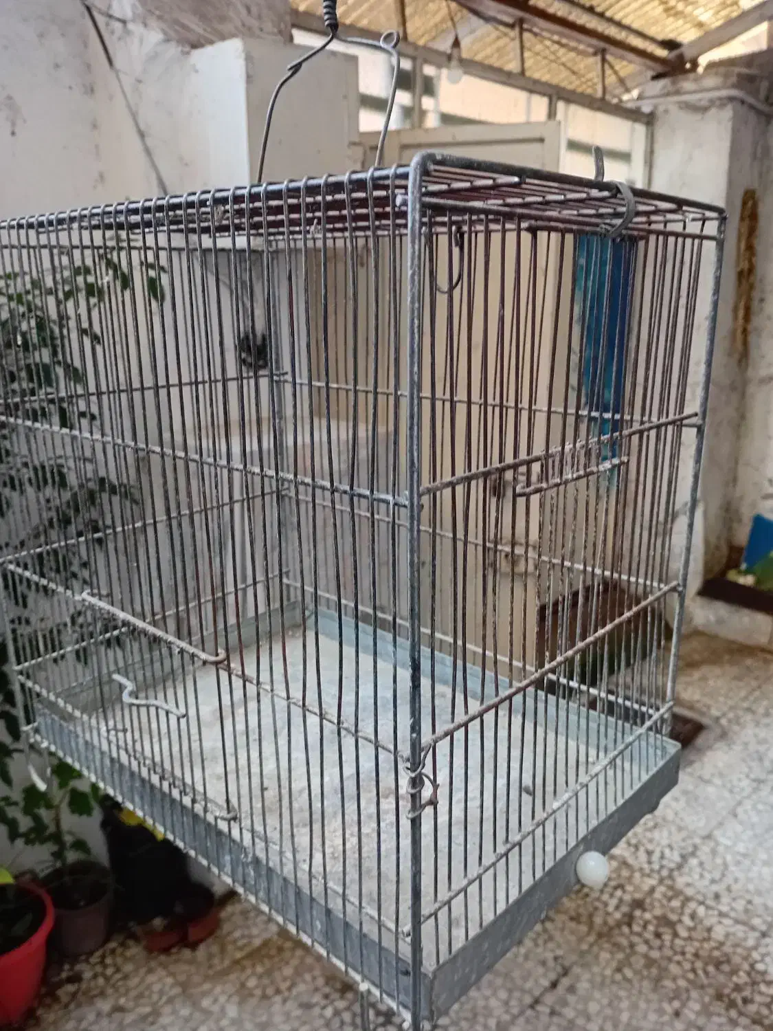 قفس سهره غلامی|لوازم جانبی حیوانات|رشت, توشیبا|دیوار