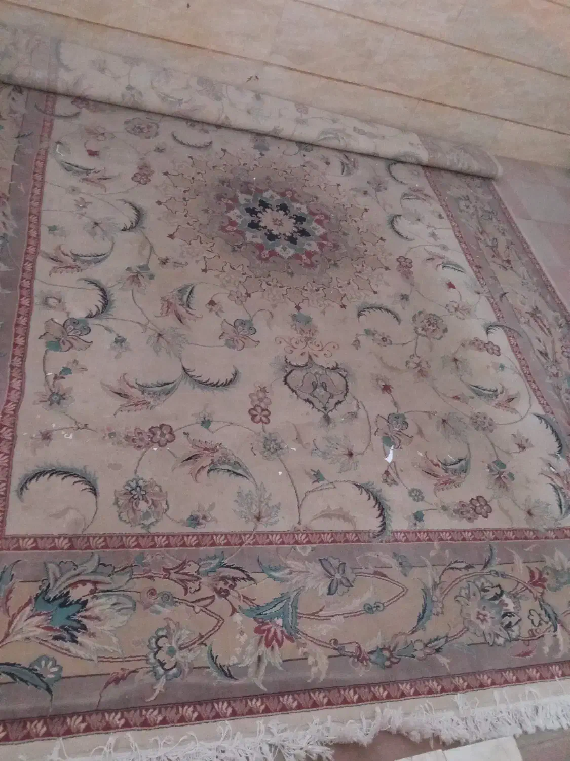 فروش فرش|فرش|کاشمر, |دیوار