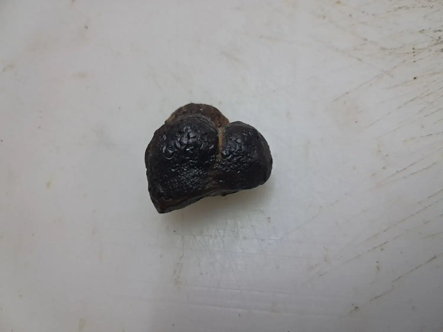 شهاب سنگ|کلکسیون اشیاء عتیقه|شیراز, حومه شیراز|دیوار