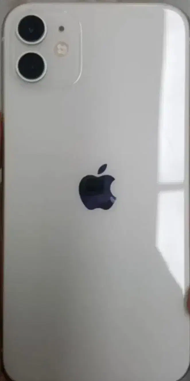 ایفون ۱۱|موبایل|زرند, |دیوار