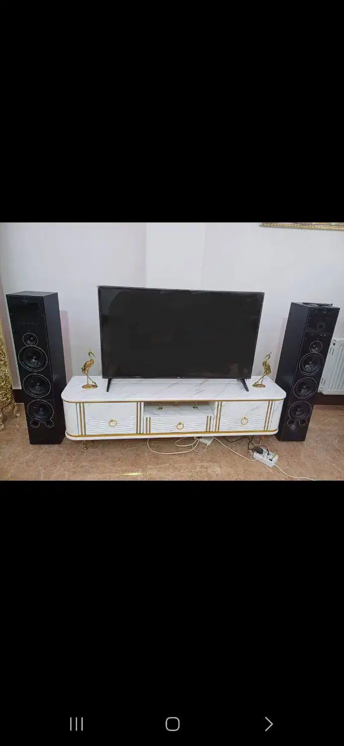 دوعدد باند مارشال|سیستم صوتی خانگی|تاکستان, |دیوار