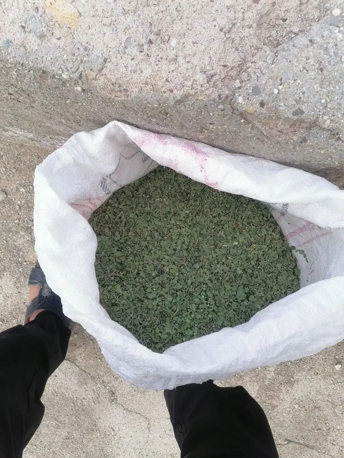 آویشن|خوردنی و آشامیدنی|بستک, |دیوار