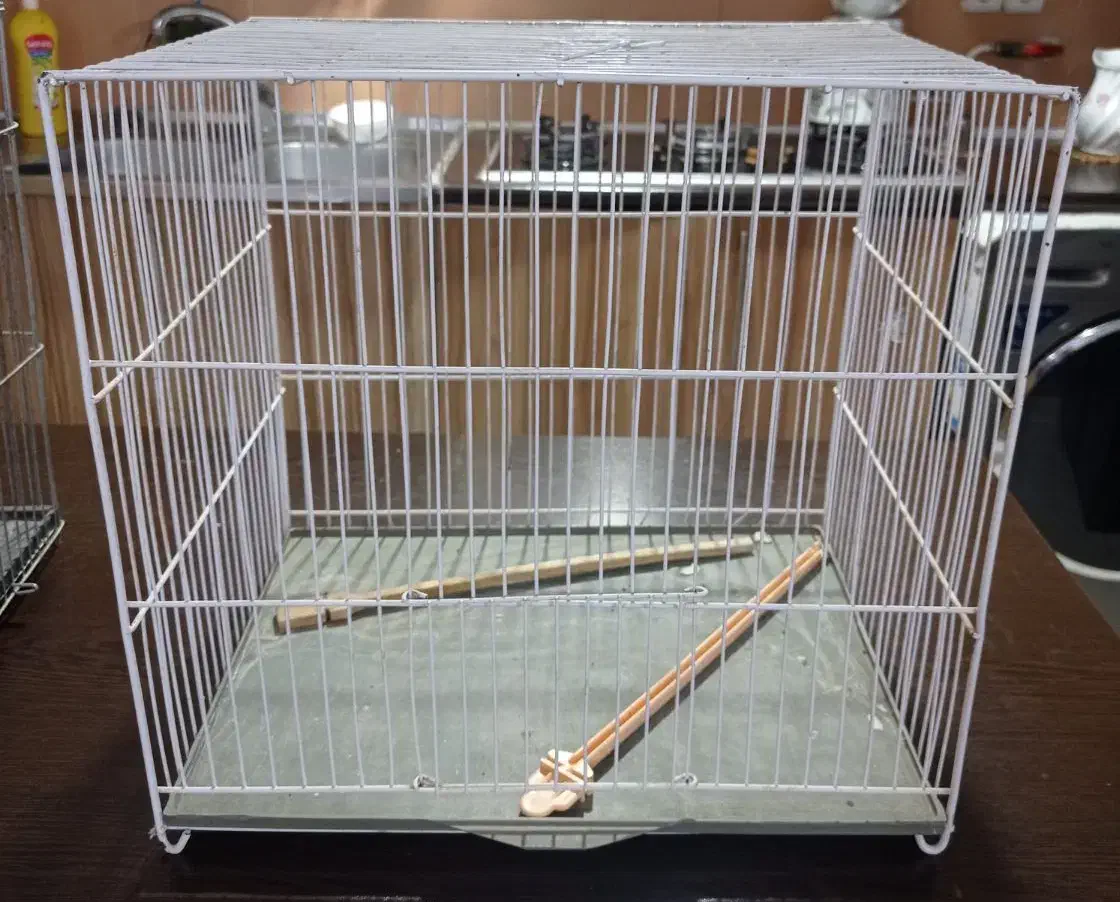قفس پرنده همراه با همه لوازمات جانبی برای پرنده|لوازم جانبی حیوانات|مشهد, امیریه|دیوار