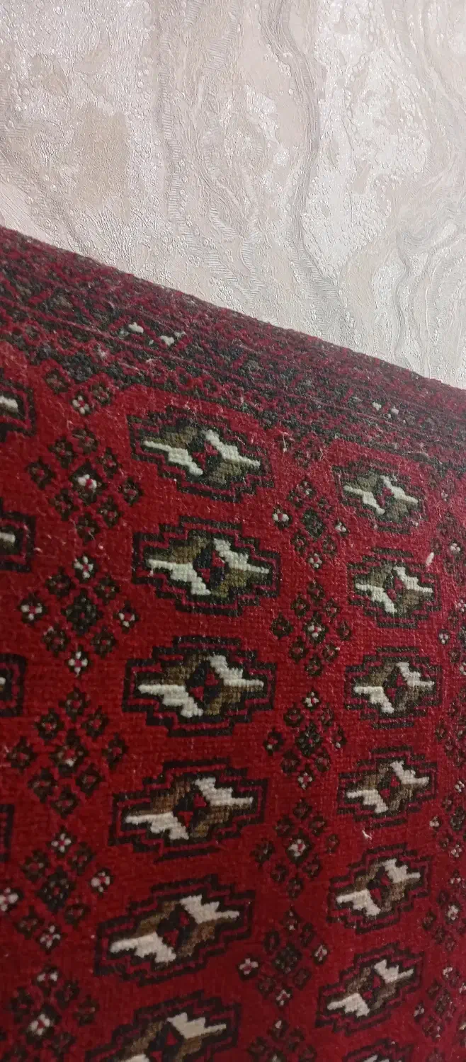 پشتی|پشتی|تربت جام, میان جام|دیوار