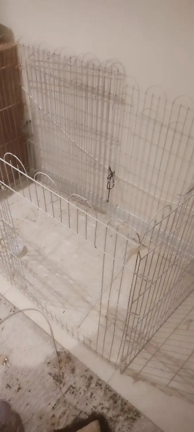 قفس خرگوش و حیوان خانگی|لوازم جانبی حیوانات|اهواز, کیانپارس |دیوار