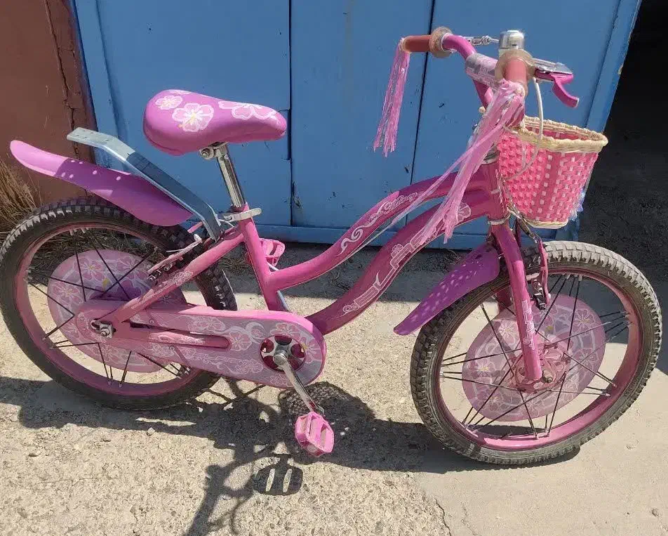 دوچرخه|دوچرخه، اسکیت، اسکوتر|کبودرآهنگ, |دیوار