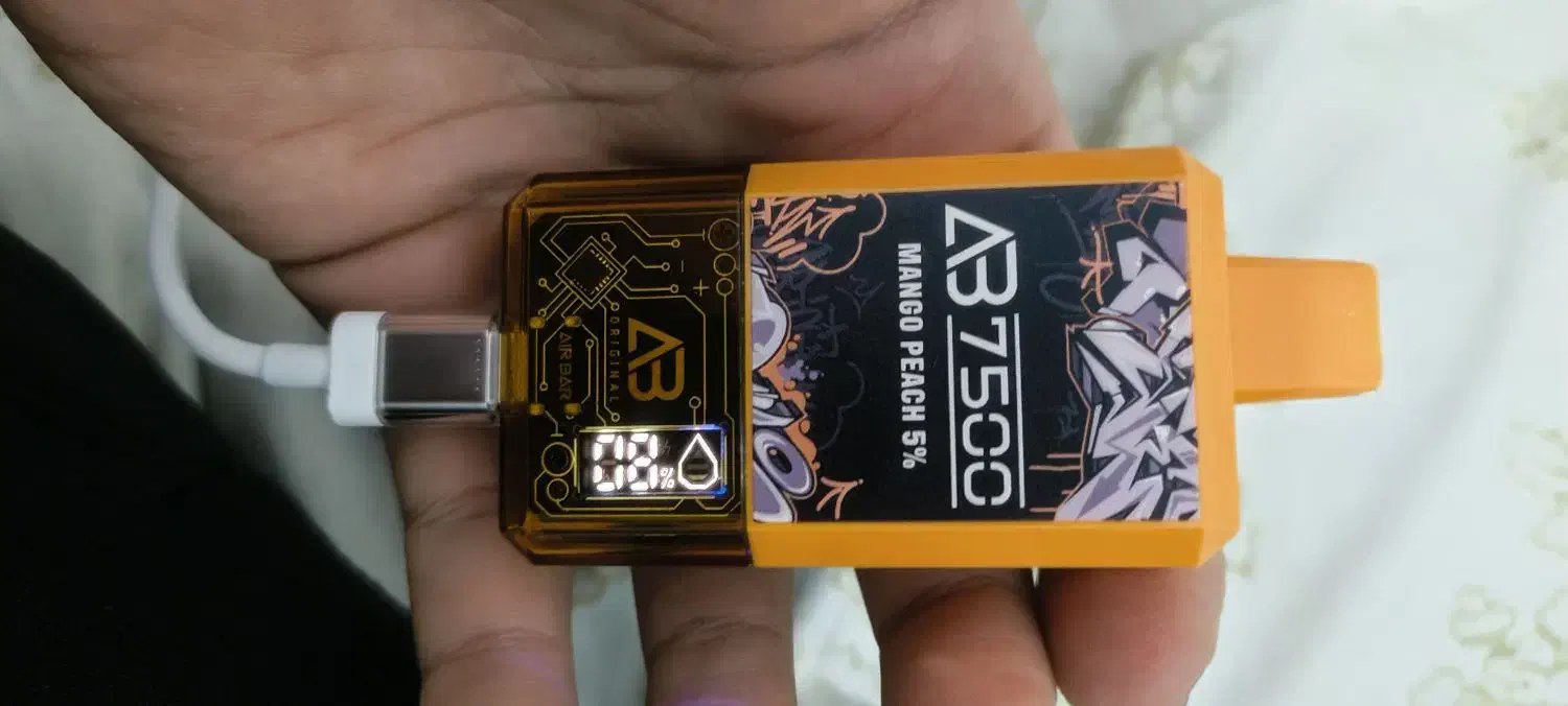 پاد شارژی|زیورآلات و اکسسوری|شیراز, عادل آباد|دیوار