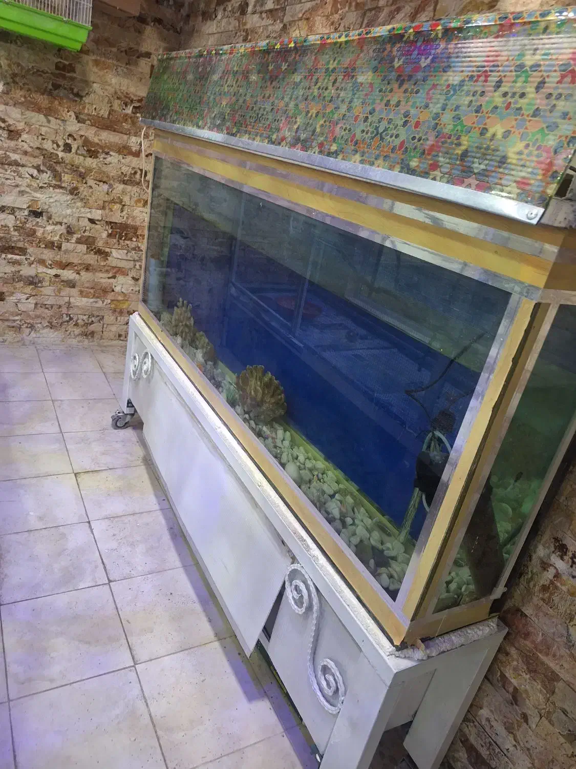 اکواریوم|ماهی|شهرکرد, |دیوار