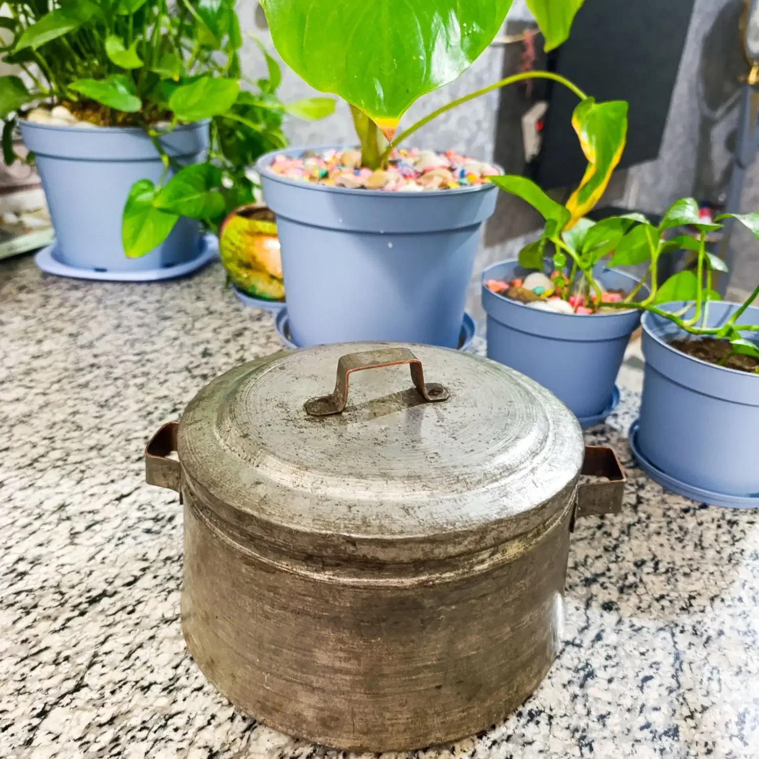 دیگ مسی|ظروف پختوپز|کوهسار (البرز), |دیوار