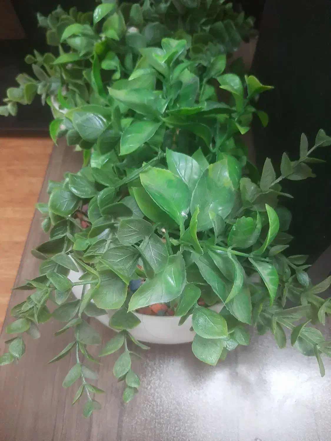 دو عدد گل و گلدان|گل مصنوعی|قم, پردیسان|دیوار