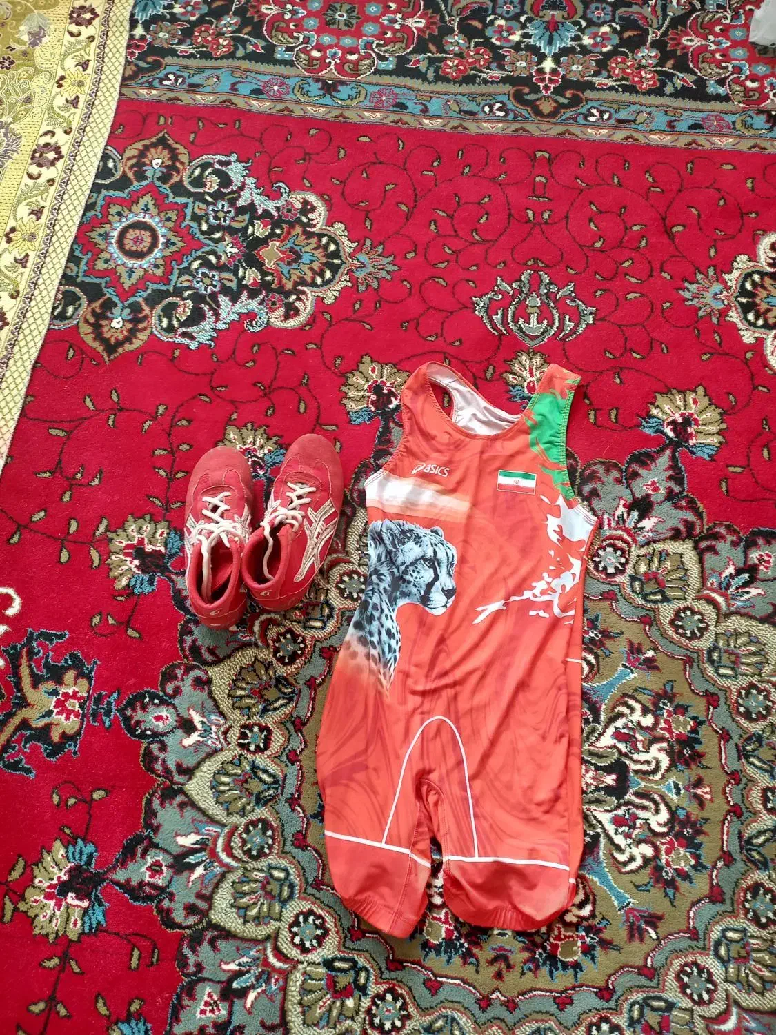 دوبنده کشتی|تجهیزات ورزشی|اردبیل, |دیوار