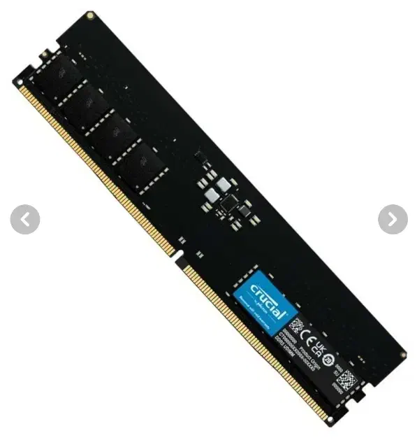رم DDR5 4800|قطعات و لوازم جانبی رایانه|مشهد, بهمن|دیوار