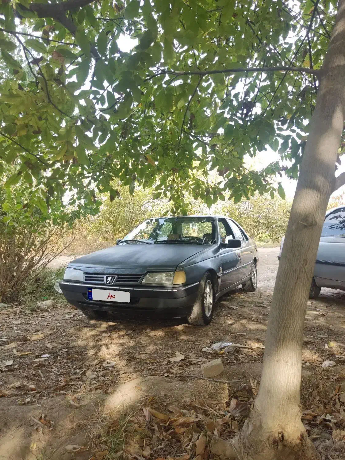 مدل ۸۷دور رنگ شاسی پلمپ|خودرو سواری و وانت|آشخانه, |دیوار