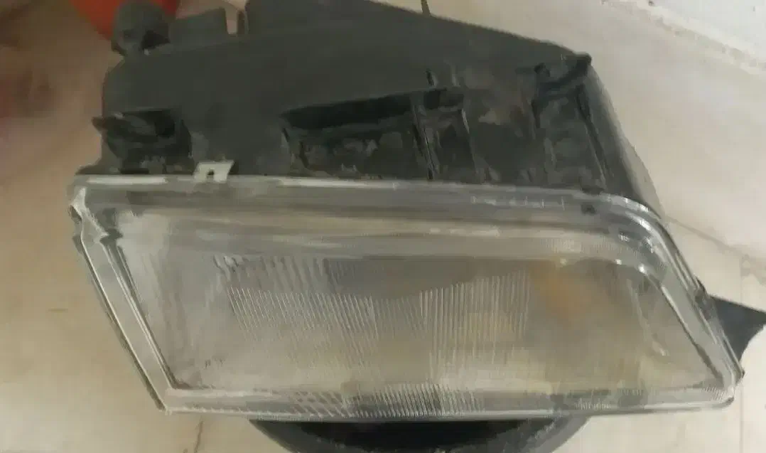 چراغ پژوچراغ پراید گلدون|گل و گیاه طبیعی|تربت جام, جامرود|دیوار