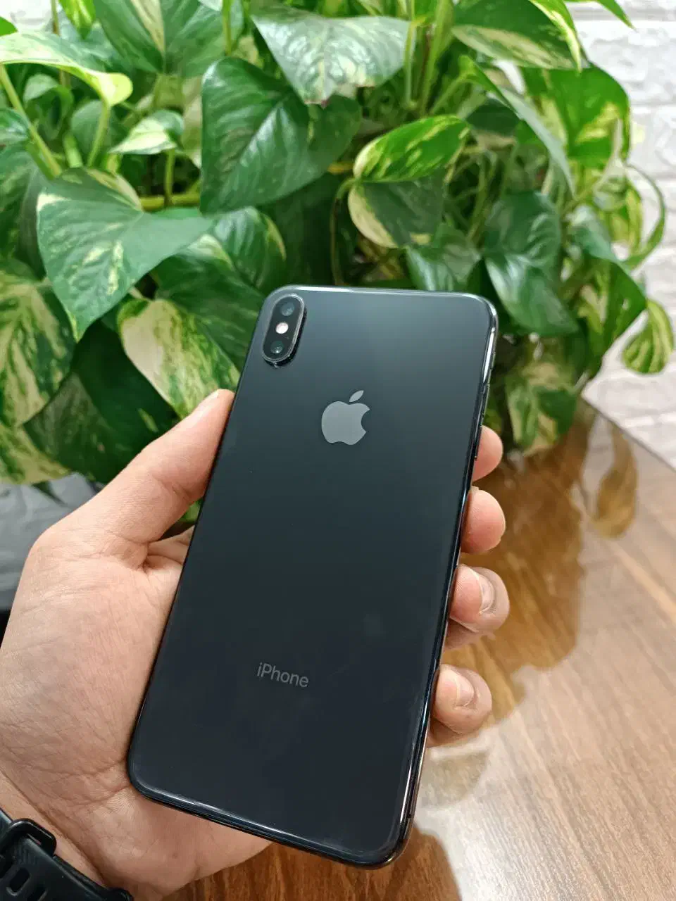 موبایل ایکس اس مکس|موبایل|نکا, |دیوار