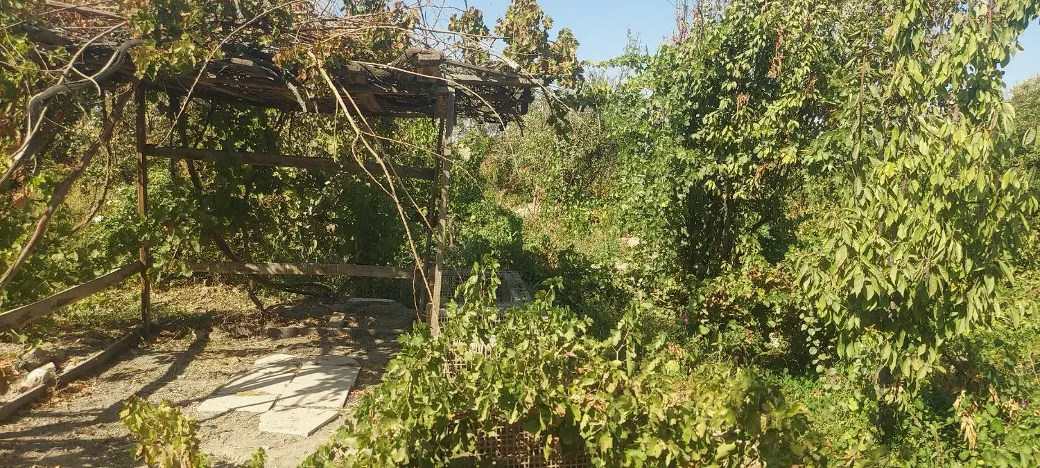 هزار متر زمین باغی در شاهدشهر شهریار|فروش زمین و ملک کلنگی|رباطکریم, منجیل آباد|دیوار