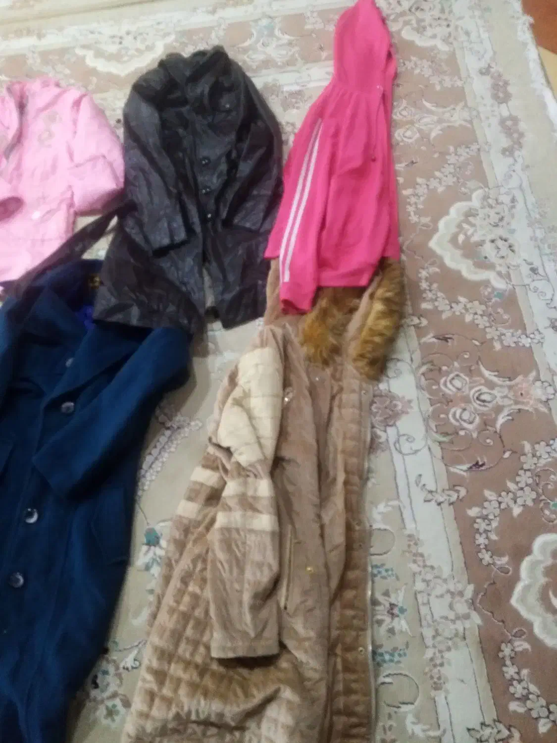 پالتو و بارانی|لباس|دورود, |دیوار