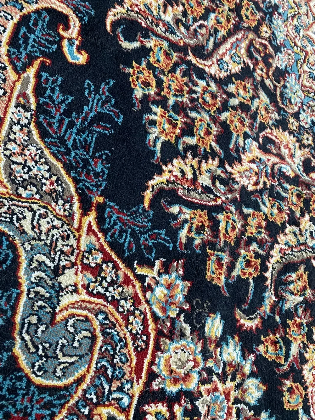 ۳تا فرش ۶متری|فرش|رشت, انصاری|دیوار