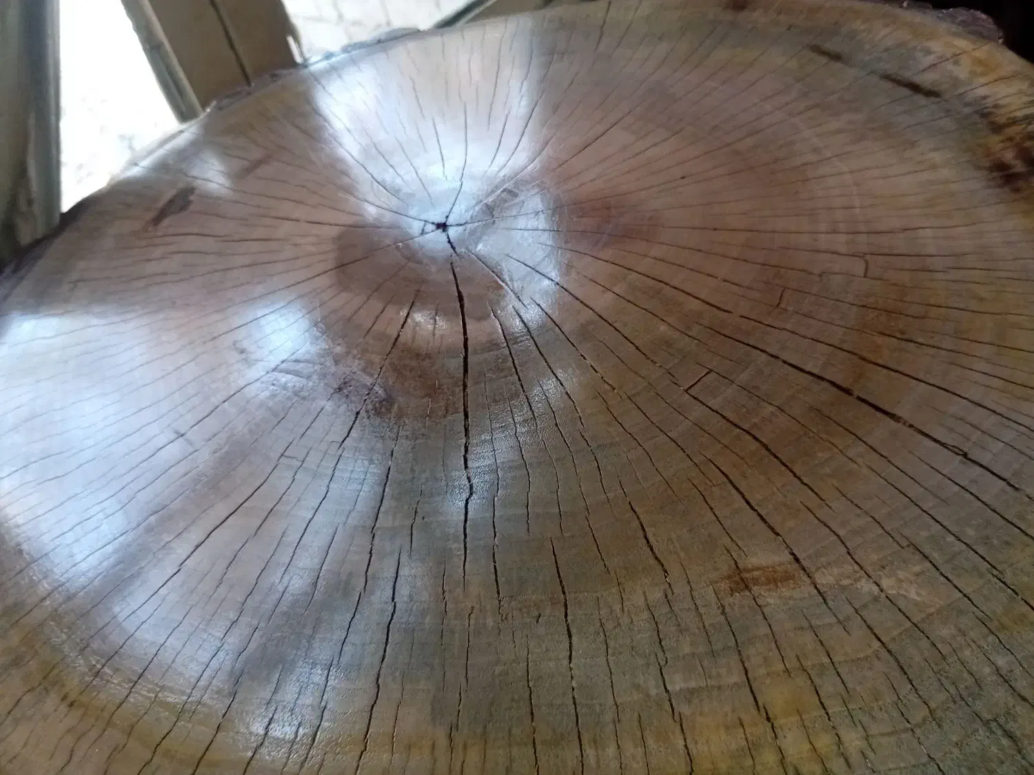 میز عسلی و جلو مبلی|مبلمان خانگی و میز عسلی|مشگین شهر, |دیوار