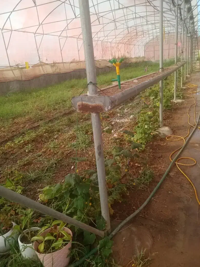 گلخانه دارای پروانه بهره برداری|فروش زمین و ملک کلنگی|ارومیه, |دیوار