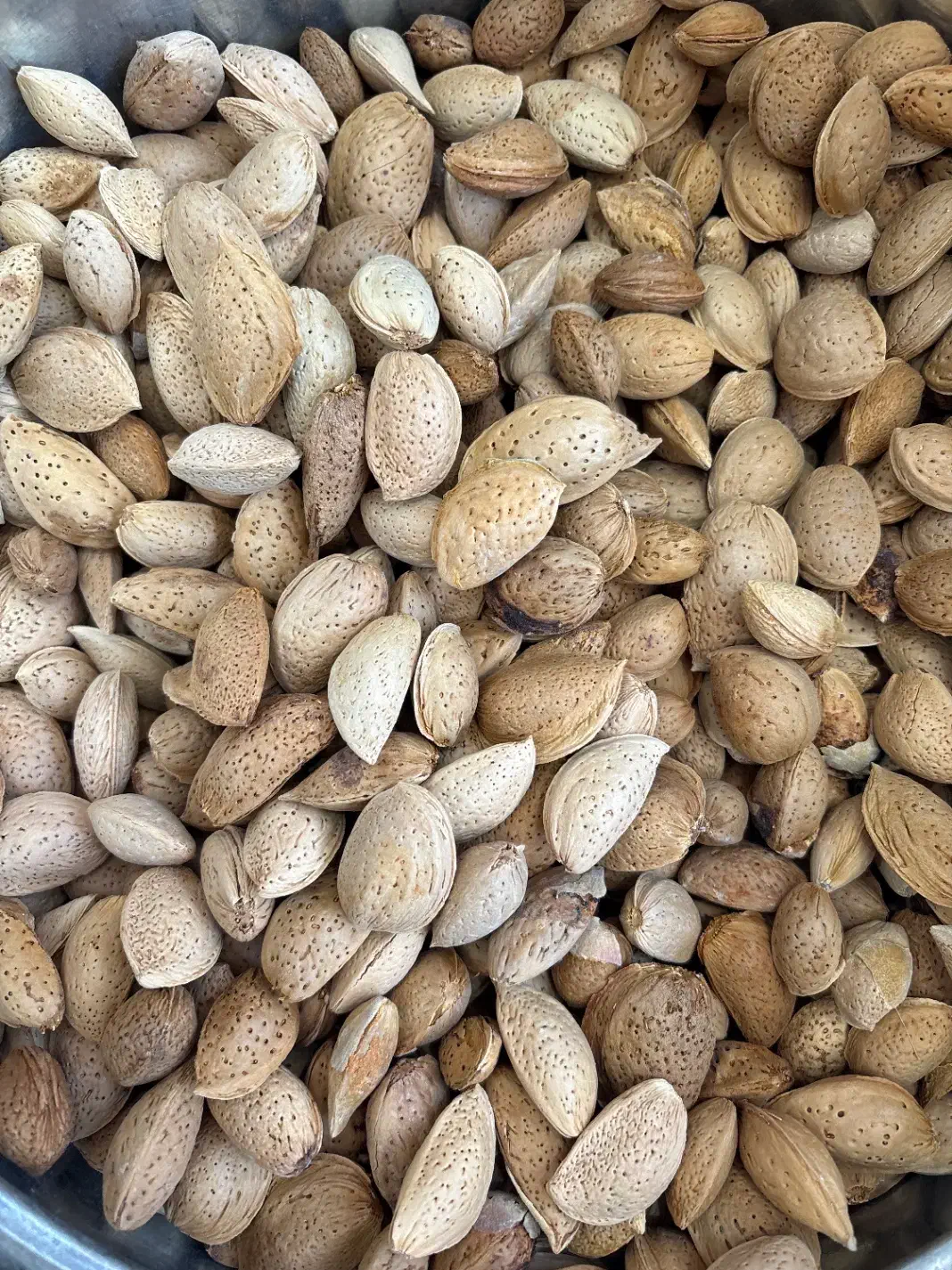 گردو بوانات آلو بخارا طبیعی|خوردنی و آشامیدنی|شیراز, آزادگان|دیوار
