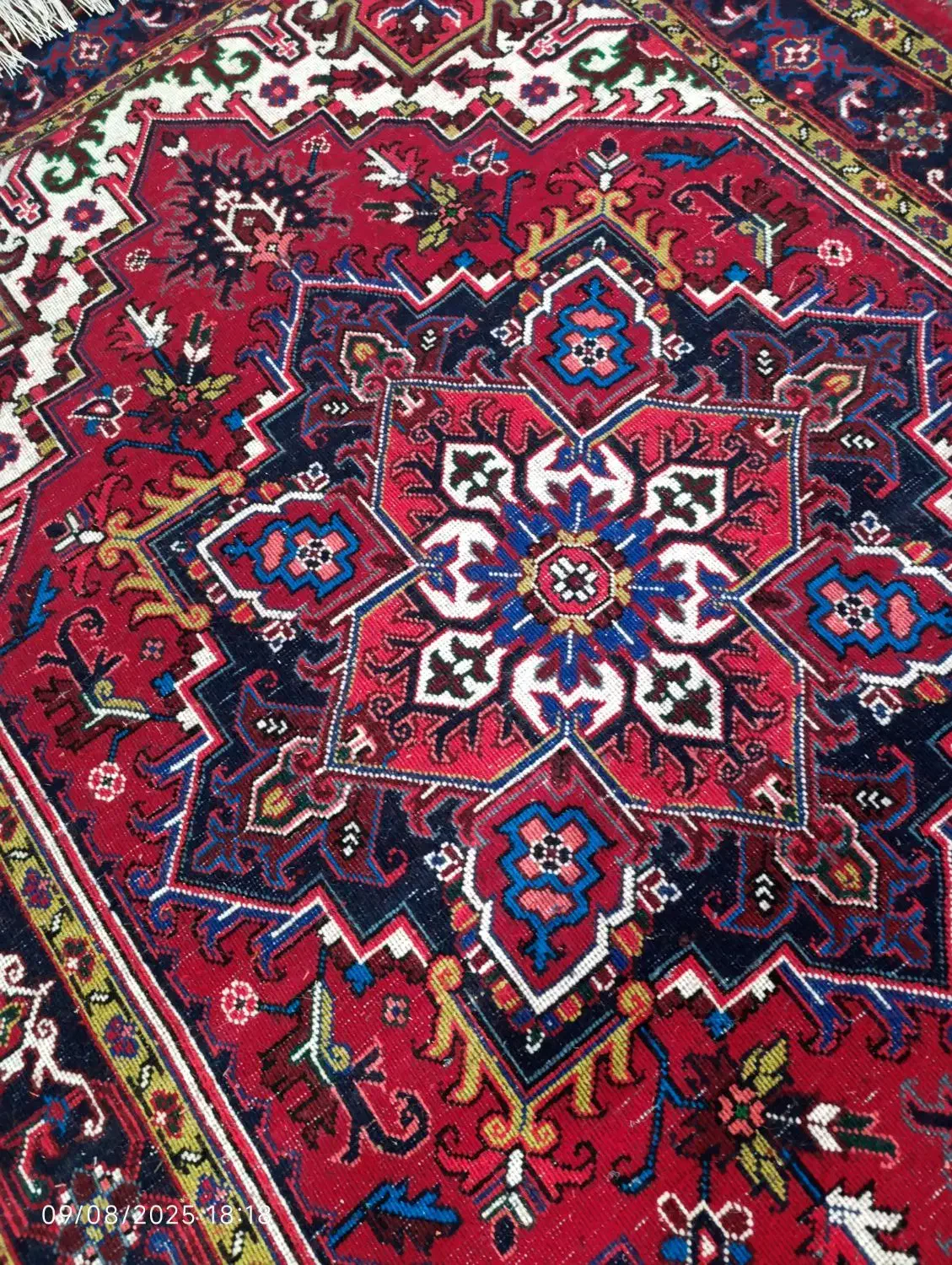 قالیچه هریس تاجری|فرش|تبریز, |دیوار