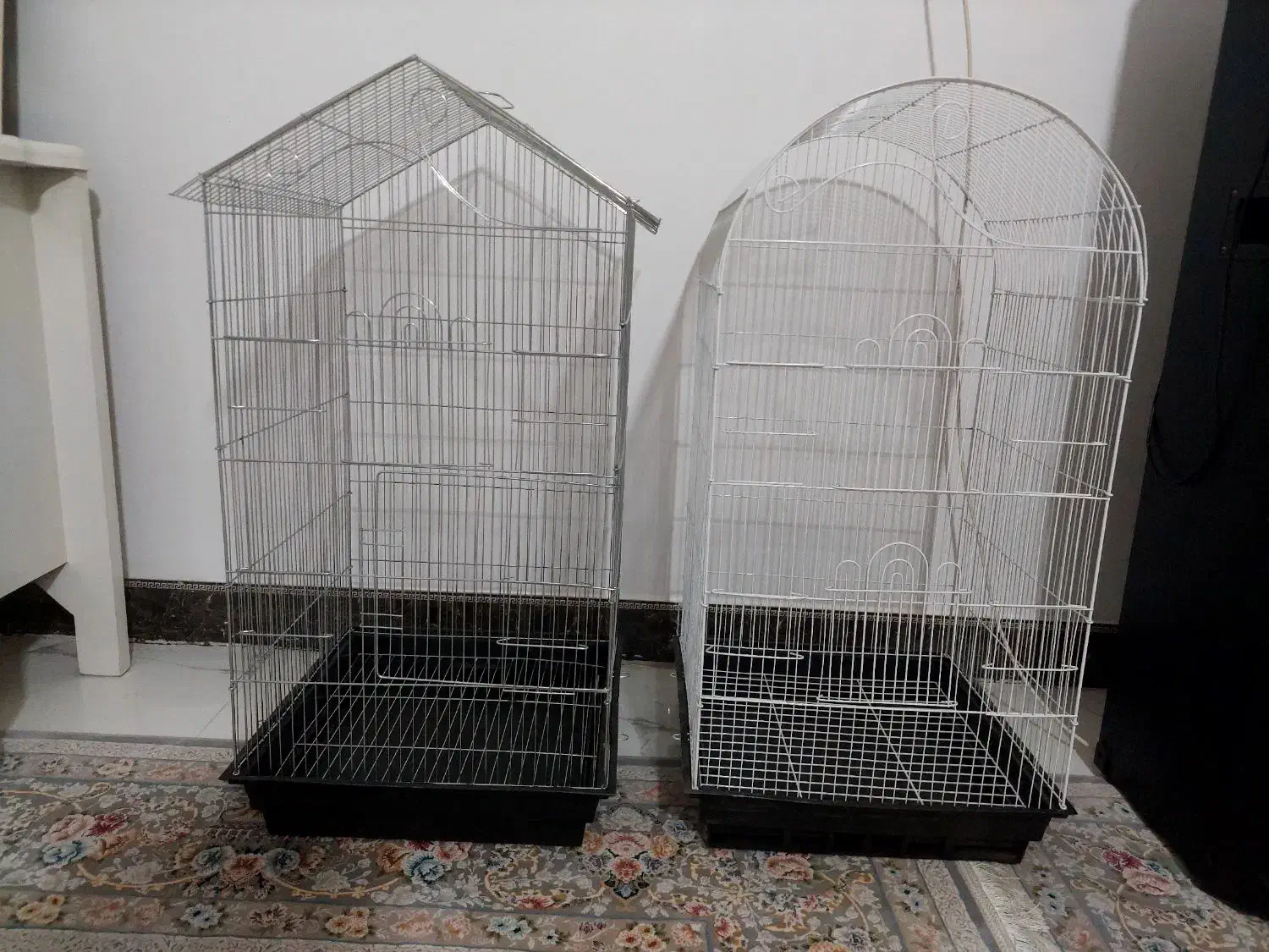 قفس کاسگویی|لوازم جانبی حیوانات|قم, نیروگاه|دیوار