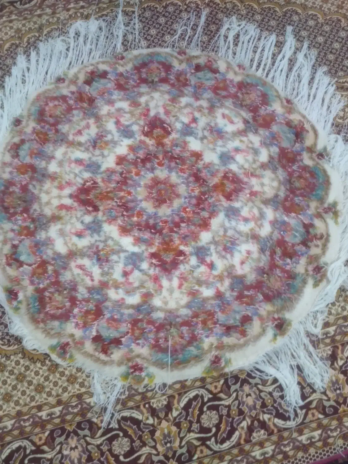 فرش دستبافت علیا۱در۱|فرش|تبریز, |دیوار