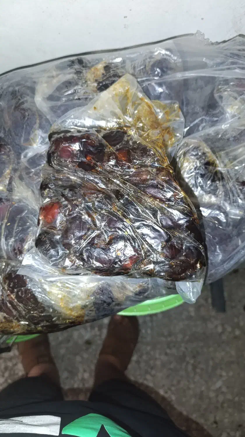 خرمای کبکاب|فعالیت داوطلبانه|وحدتیه, |دیوار