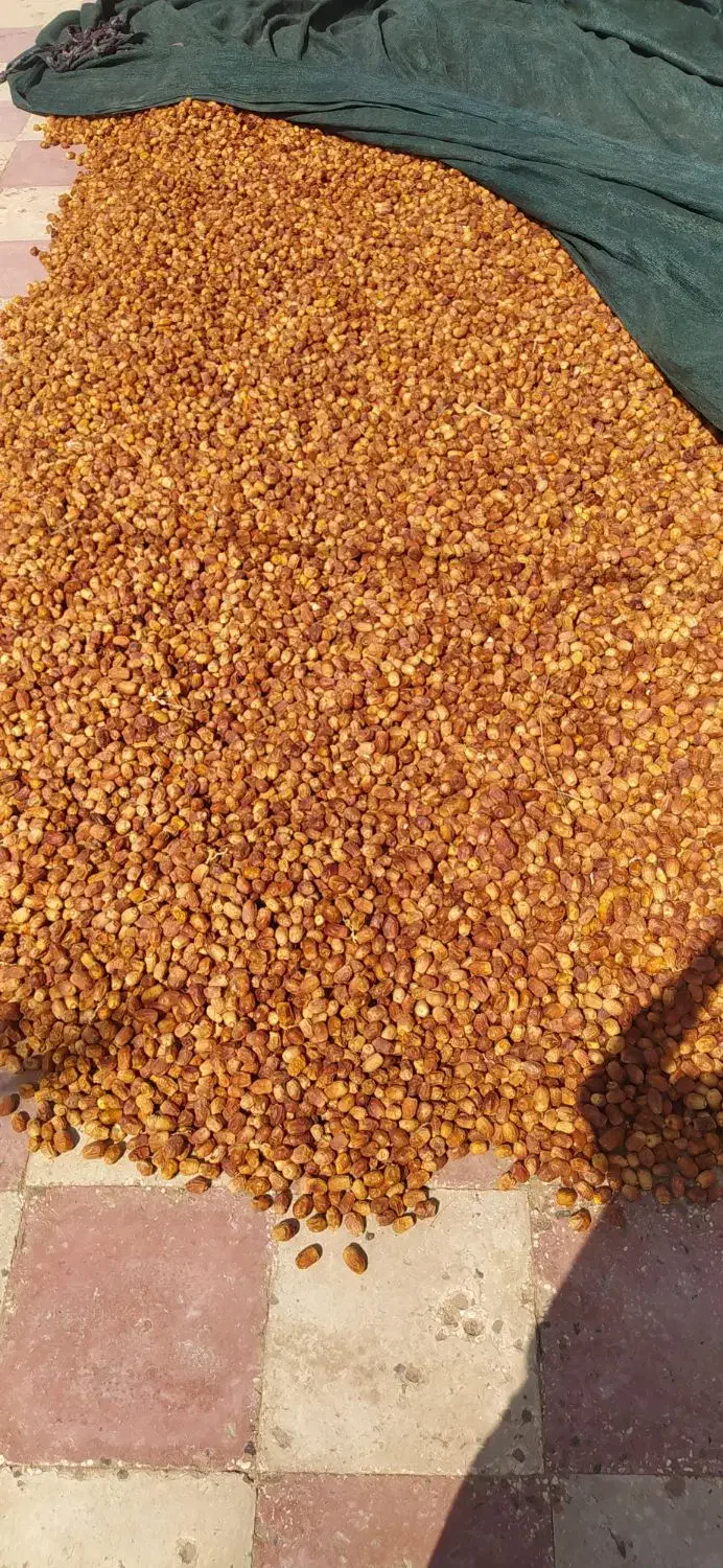 قصب پاک شده|عمده‌فروشی|فراشبند, |دیوار