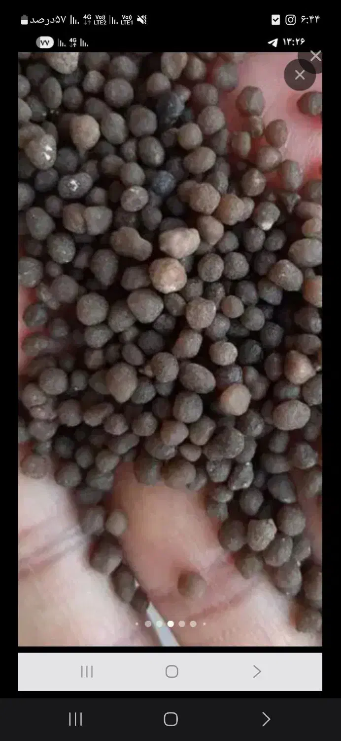 کود کشاورزی و باغبانی با ارسال رایگان|خدمات باغبانی و درختکاری|کرمانشاه, |دیوار