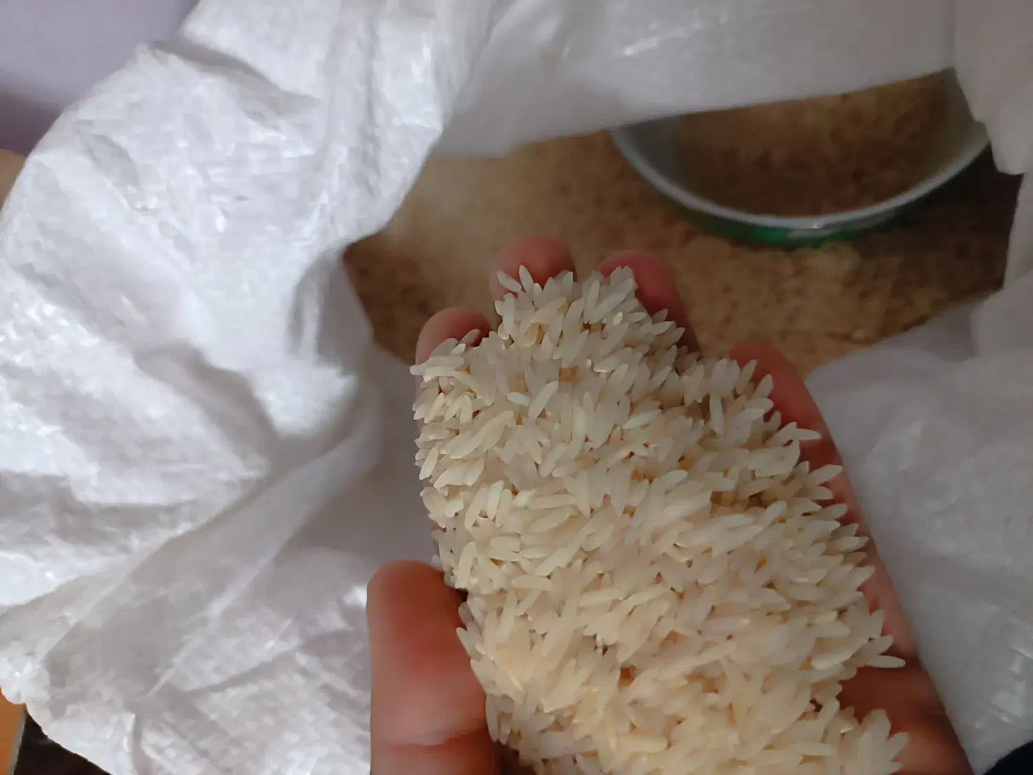 برنج طارم هاشمی|عمدهفروشی|آق قلا, |دیوار