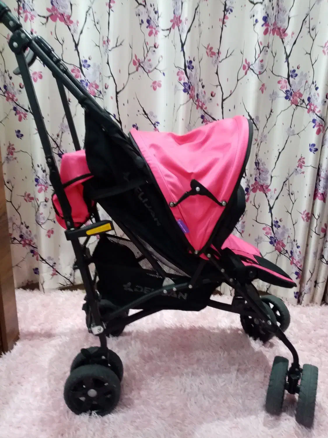 کالسکه دلیجان|کالسکه و لوازم جانبی|رویان, |دیوار