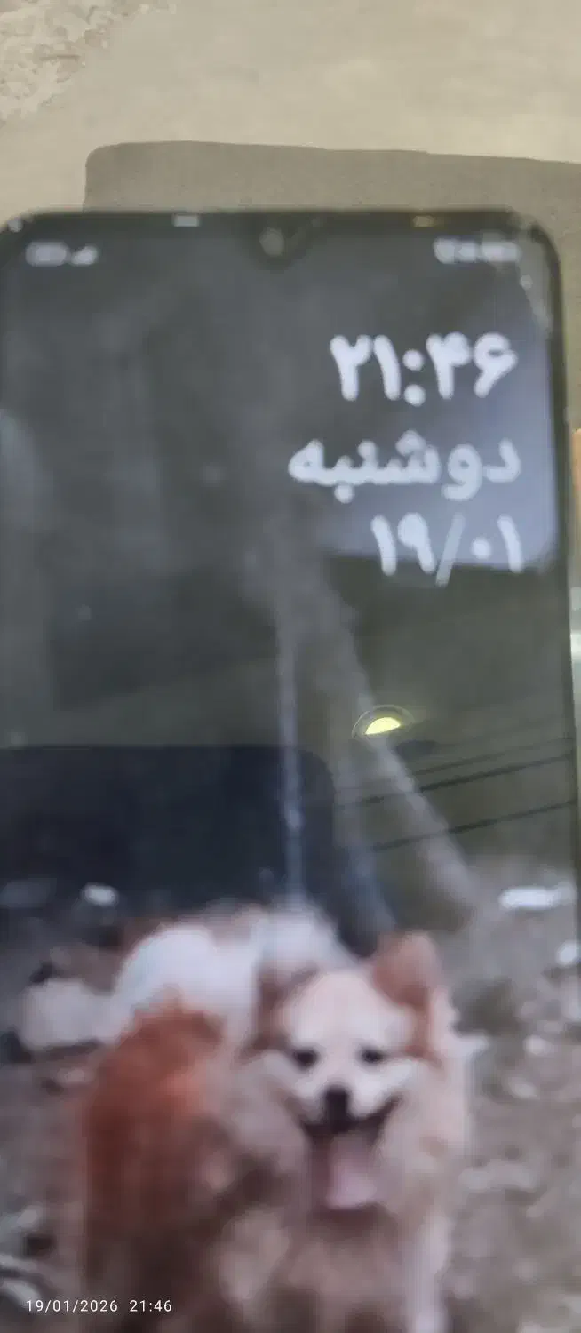 گوشی c40|موبایل|رشت, فلسطین|دیوار