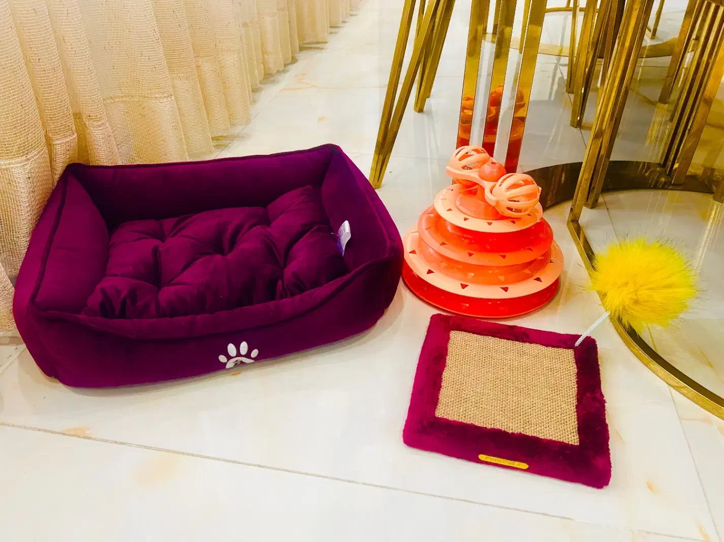 وسایل گربه با بهترین قیمت|لوازم جانبی حیوانات|کرج, عظیمیه|دیوار