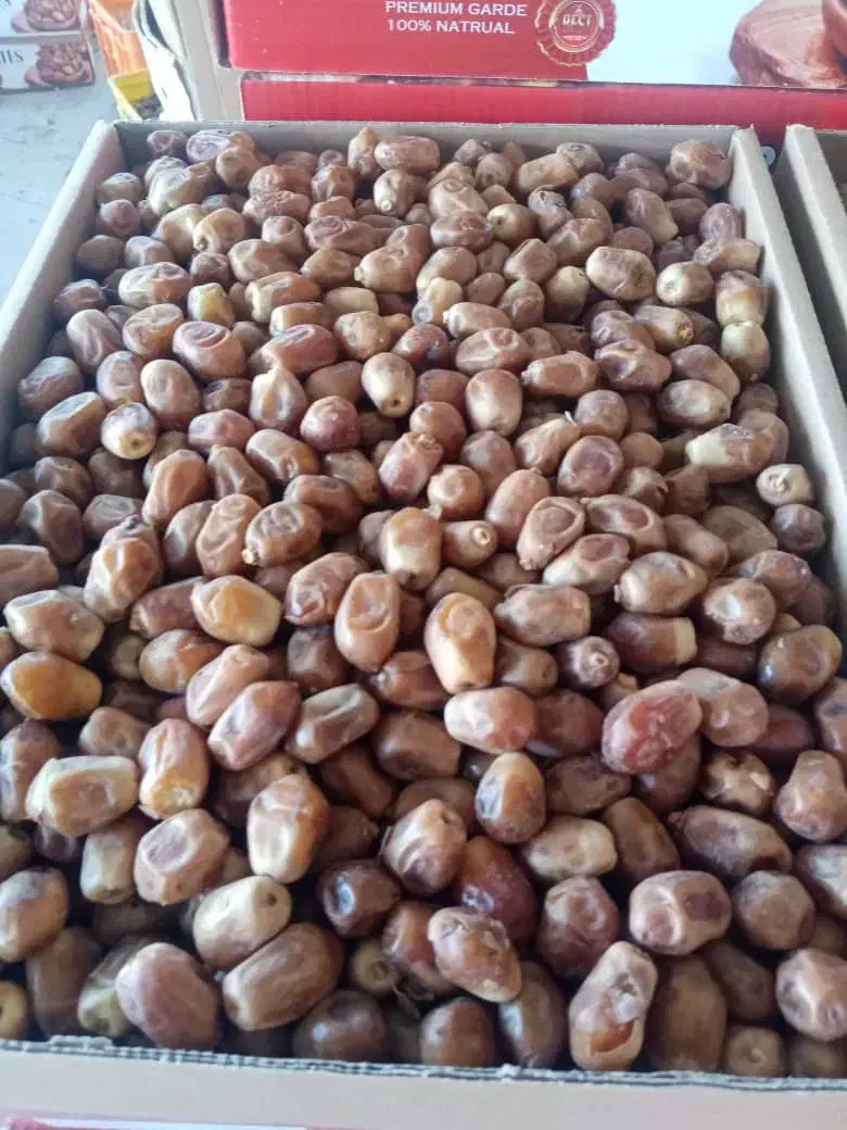 نگه داری باغ نخل|استخدام سرایداری و نظافت|بوشهر, |دیوار