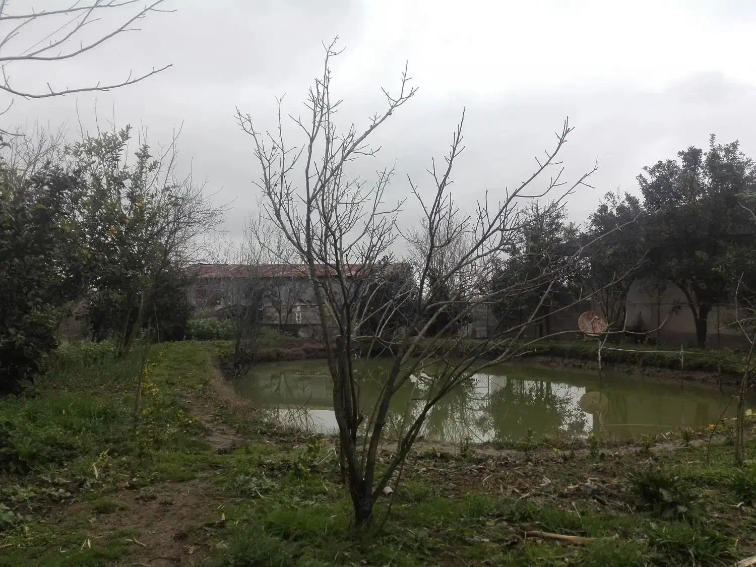 زمین با خانه روستایی نوساز|فروش خانه و ویلا|رودسر, |دیوار