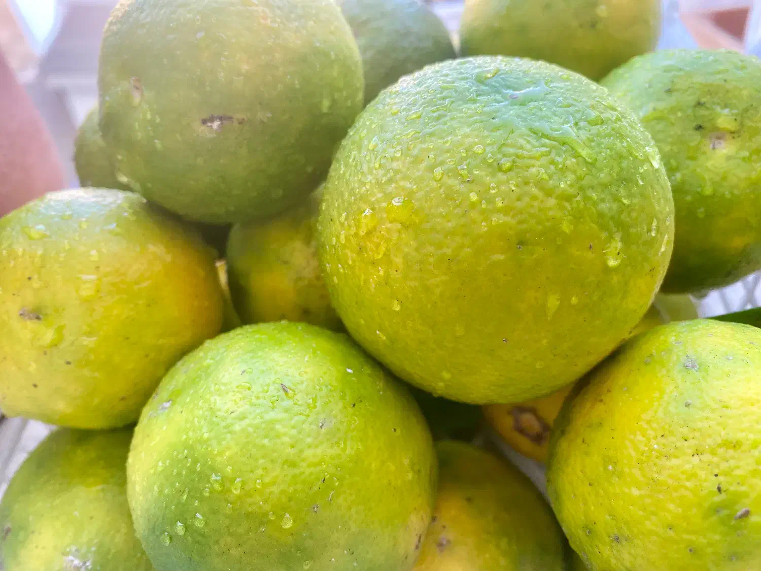 نارنج فروشی|خوردنی و آشامیدنی|رضوانشهر, |دیوار