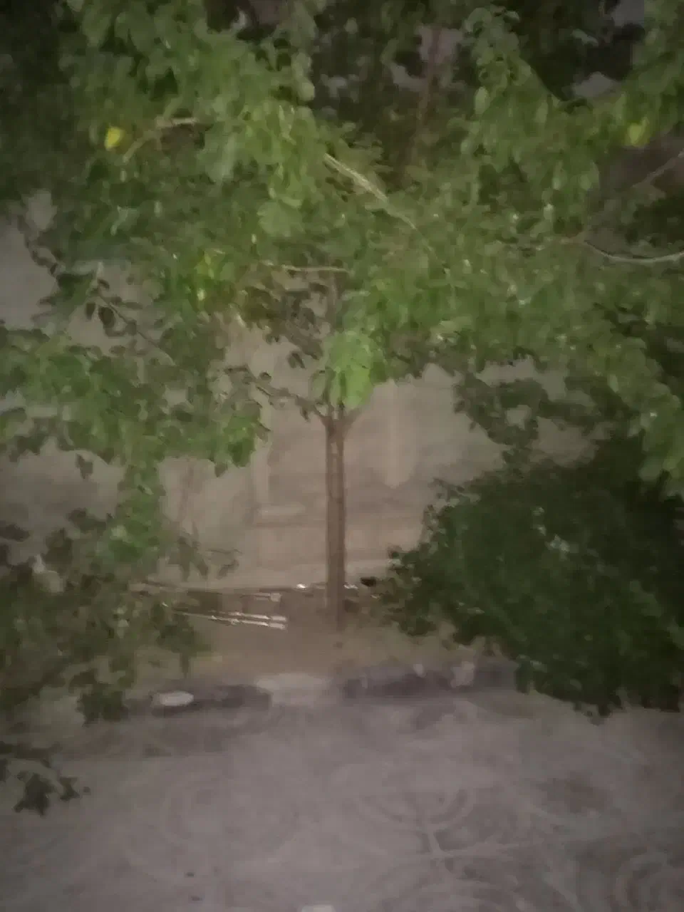 فروش شهرک مهرگان  یک واحد طبقه همکف شمالی عترت 29|فروش آپارتمان|مشهد, شهرک مهرگان|دیوار