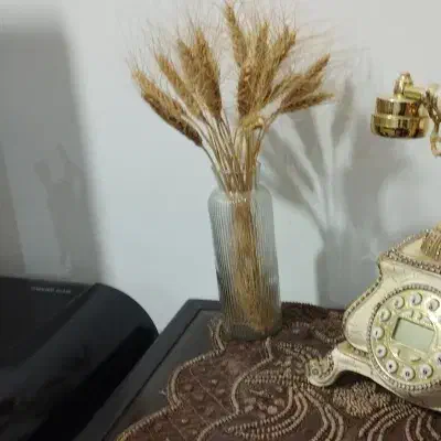 ف. ر. ز.|لامپ و چراغ|سنندج, |دیوار