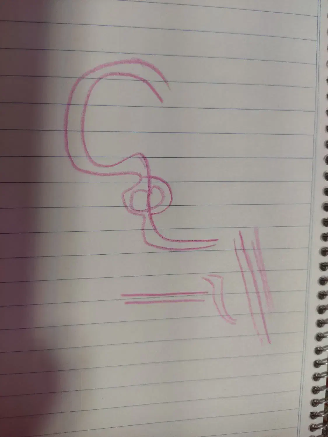 نگهبان پروژه|استخدام سرایداری و نظافت|پرند, فاز ۶|دیوار